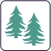 assestamento forestale